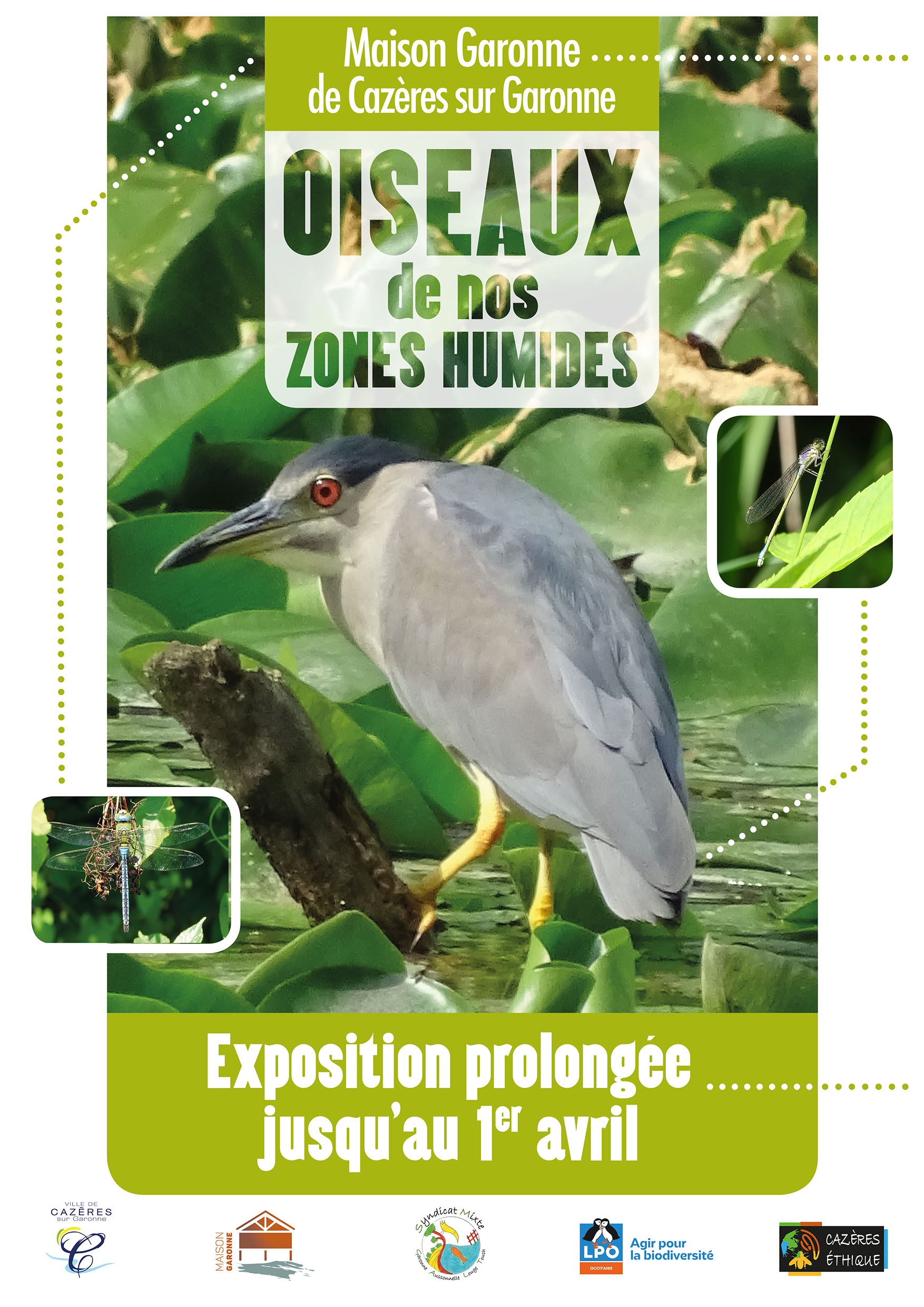 Exposition oiseaux de nos zones humides