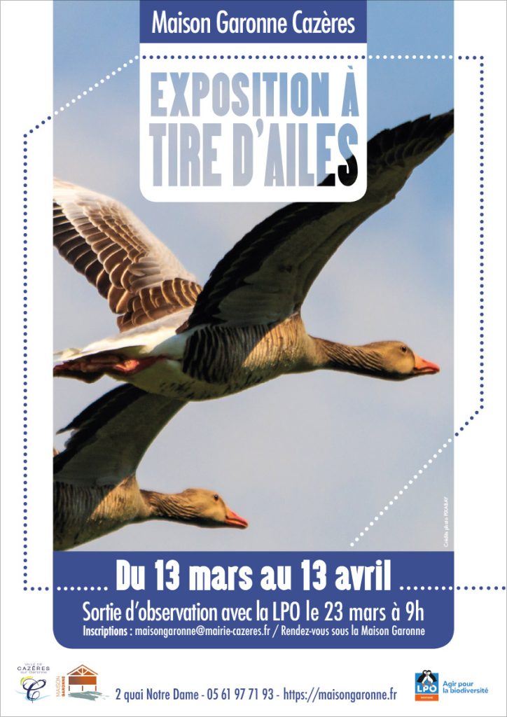 expo a tire d'ailes