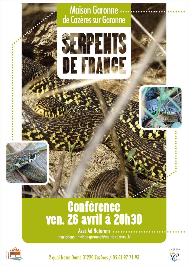 conference serpents