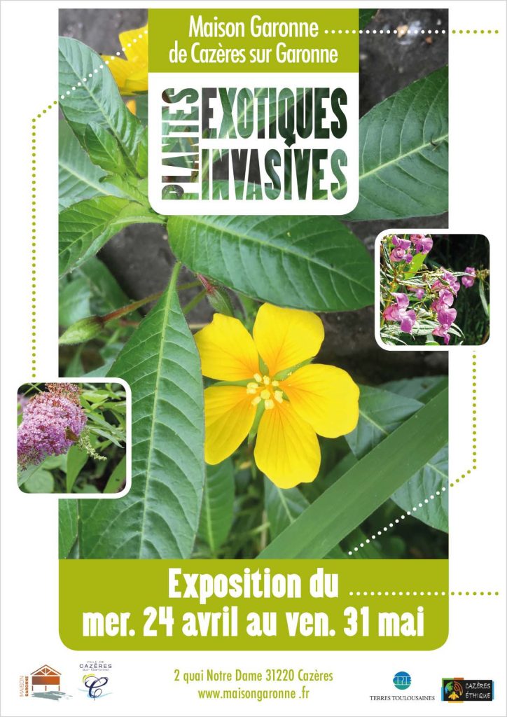 plantes exotiques invasives expo